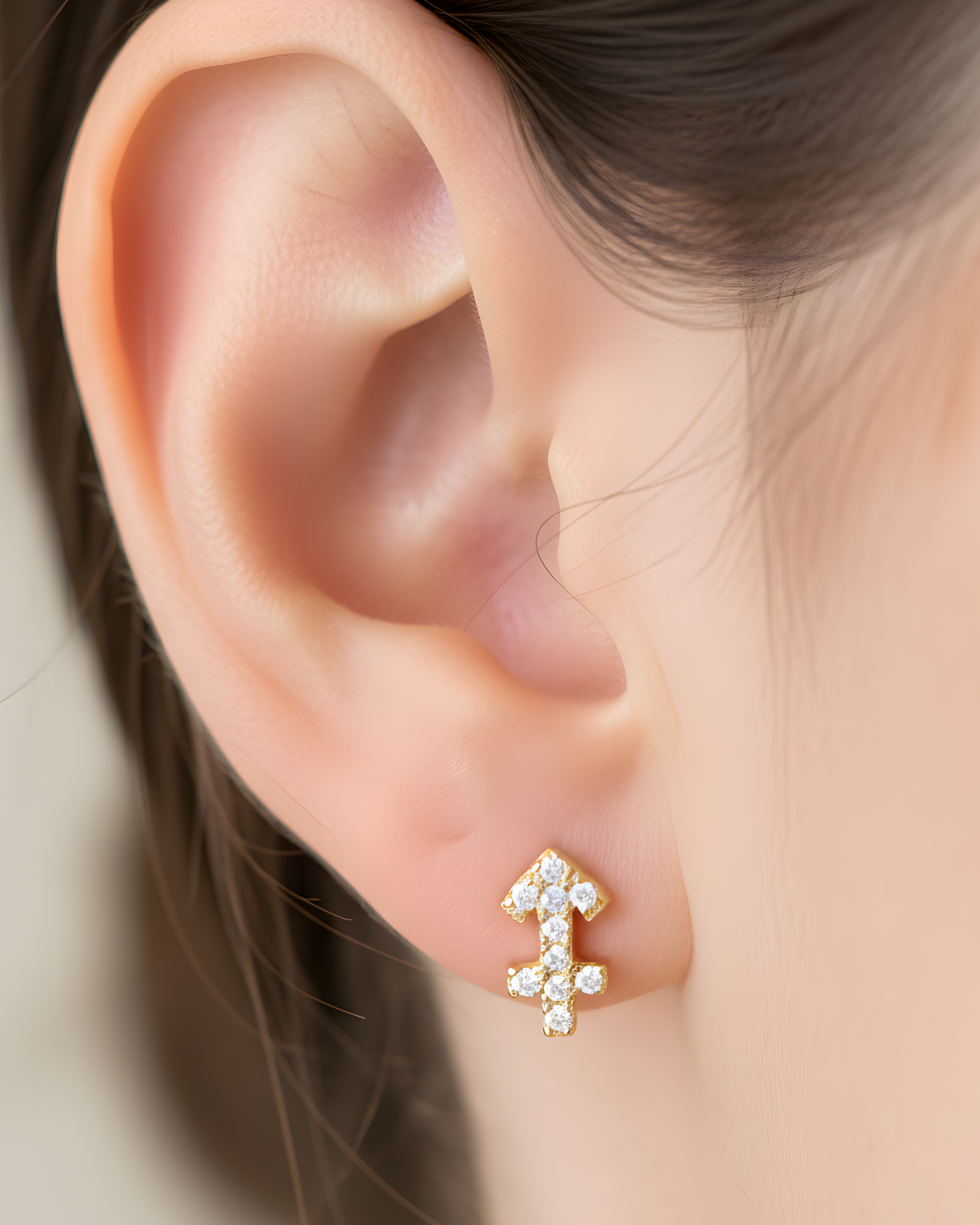 Puces Sagittaire - DORÉ