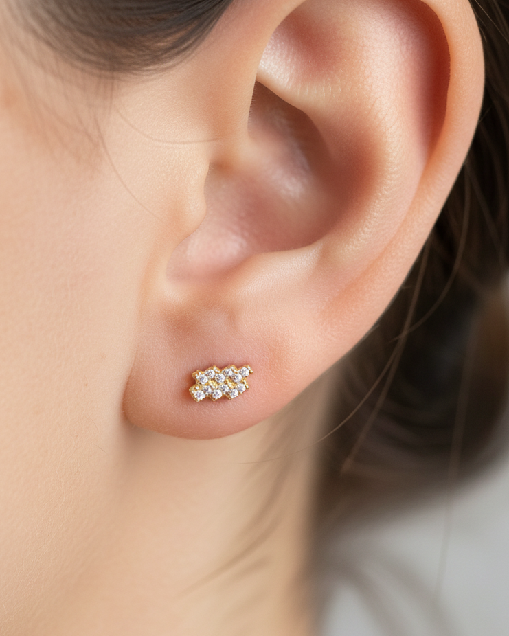 Puces Verseau - DORÉ