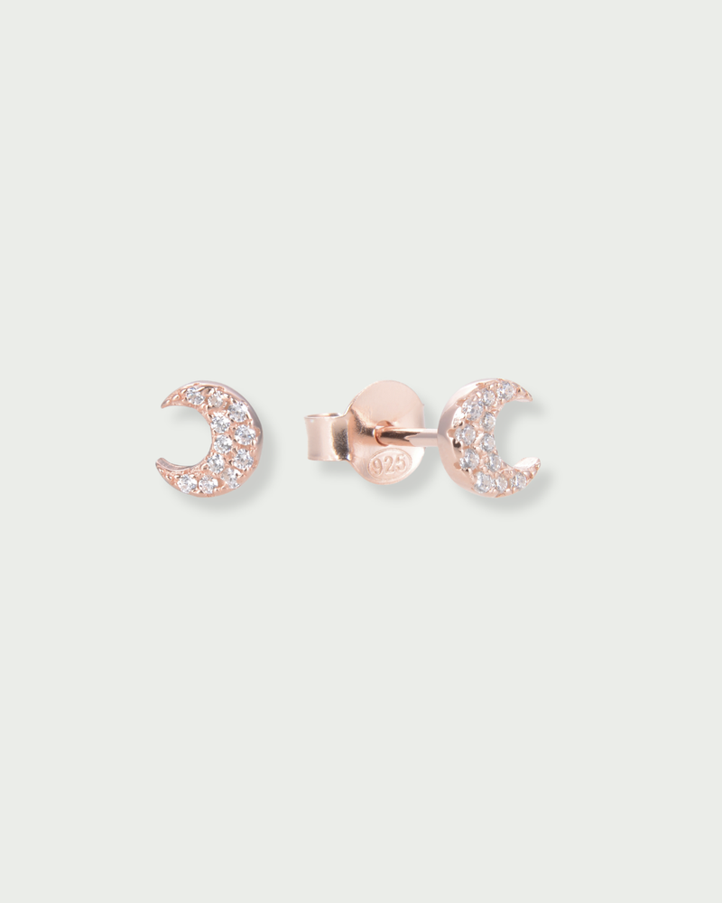 Puces Céleste - ROSE