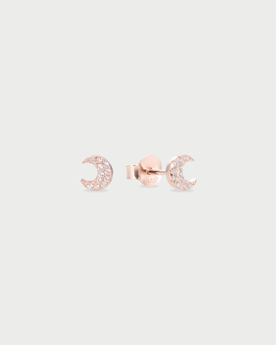 Puces Céleste - ROSE