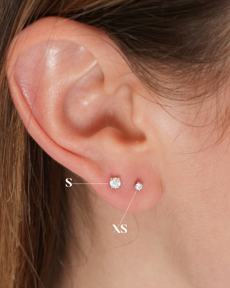 Puces S intemporel - Doré - portées en comparaison avec les XS