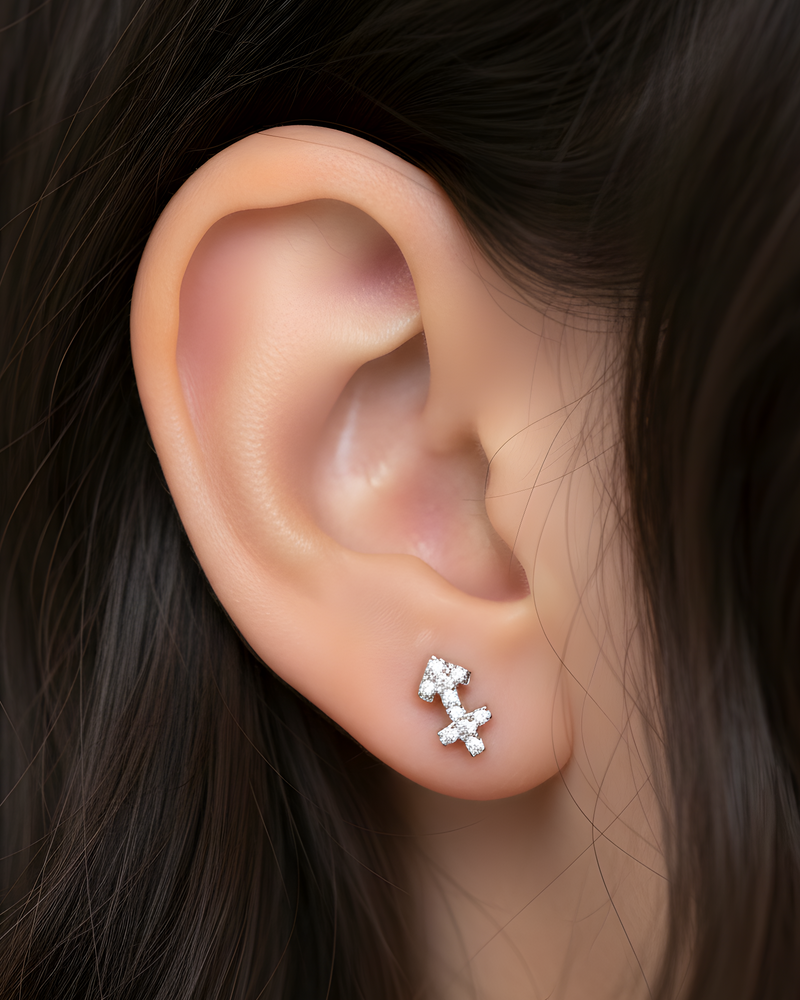 Puces Sagittaire - BLANC