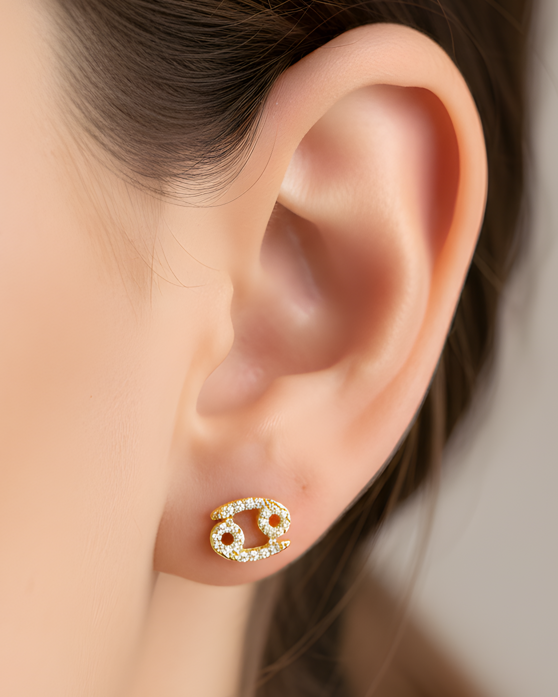 Puces Cancer - DORÉ