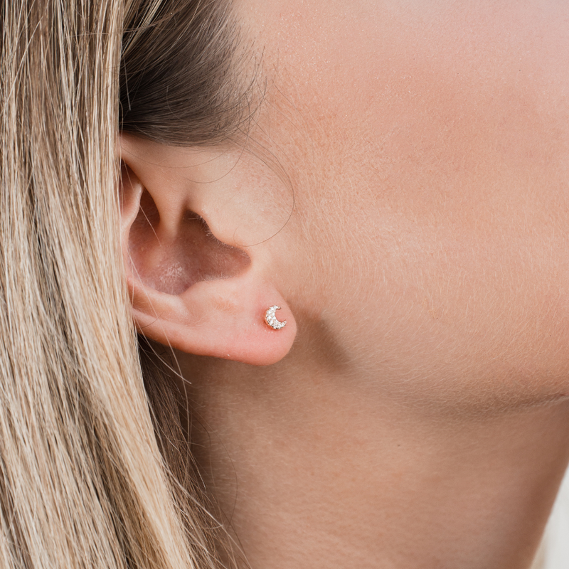 Puces Céleste - ROSE